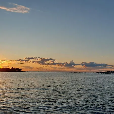 Marko Aurelia Villa Tar-Vabriga