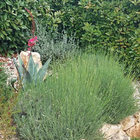 Marko Aurelia Villa *