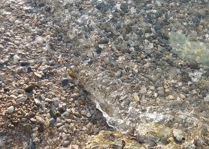 Marko Aurelia 빌라