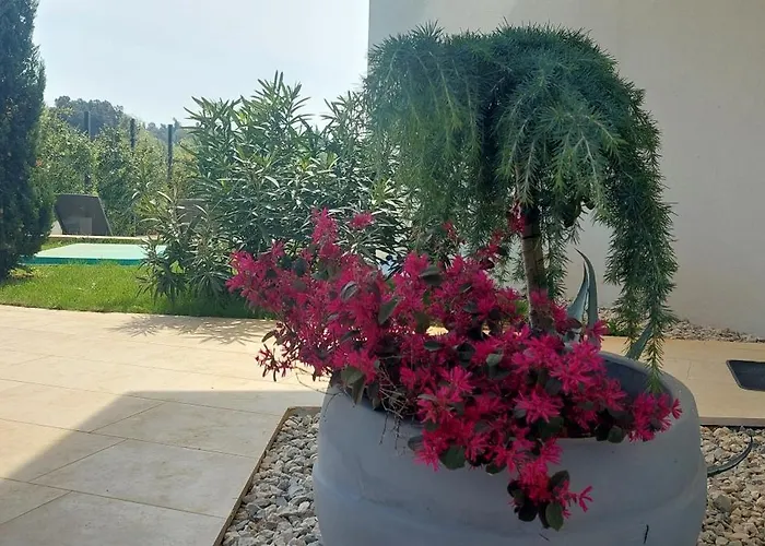 빌라 Marko Aurelia Tar-Vabriga