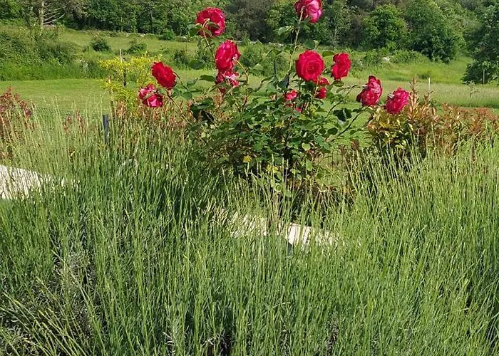 Marko Aurelia Tar-Vabriga
