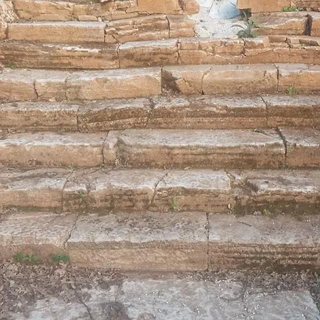 Marko Aurelia * Tar-Vabriga