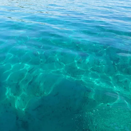 Villa Marko Aurelia *