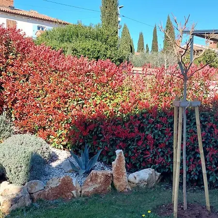 Villa Marko Aurelia