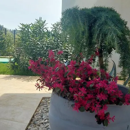 Villa Marko Aurelia Tar-Vabriga