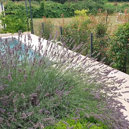 Marko Aurelia Villa Tar-Vabriga