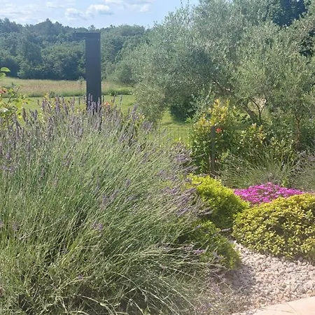 Villa Marko Aurelia *