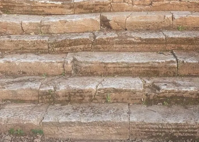 Marko Aurelia * Tar-Vabriga