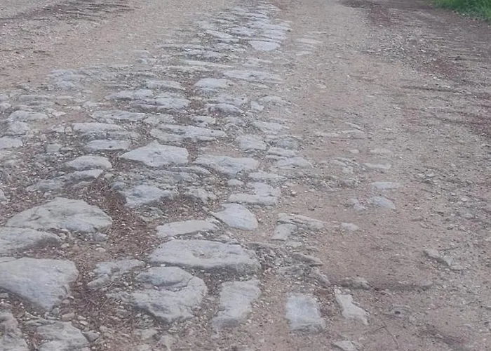 Marko Aurelia Tar-Vabriga