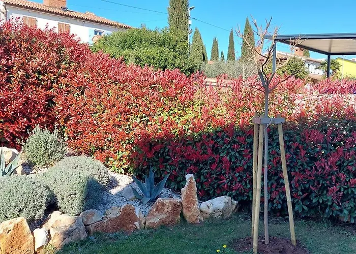 Villa Marko Aurelia