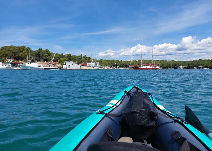 Marko Aurelia Tar-Vabriga