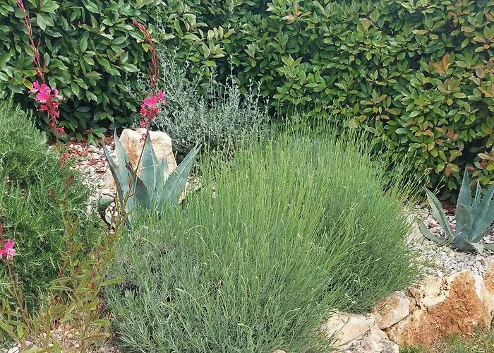 Marko Aurelia Villa *